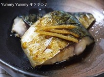 20110118130347d96