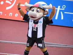 vissel2004082916